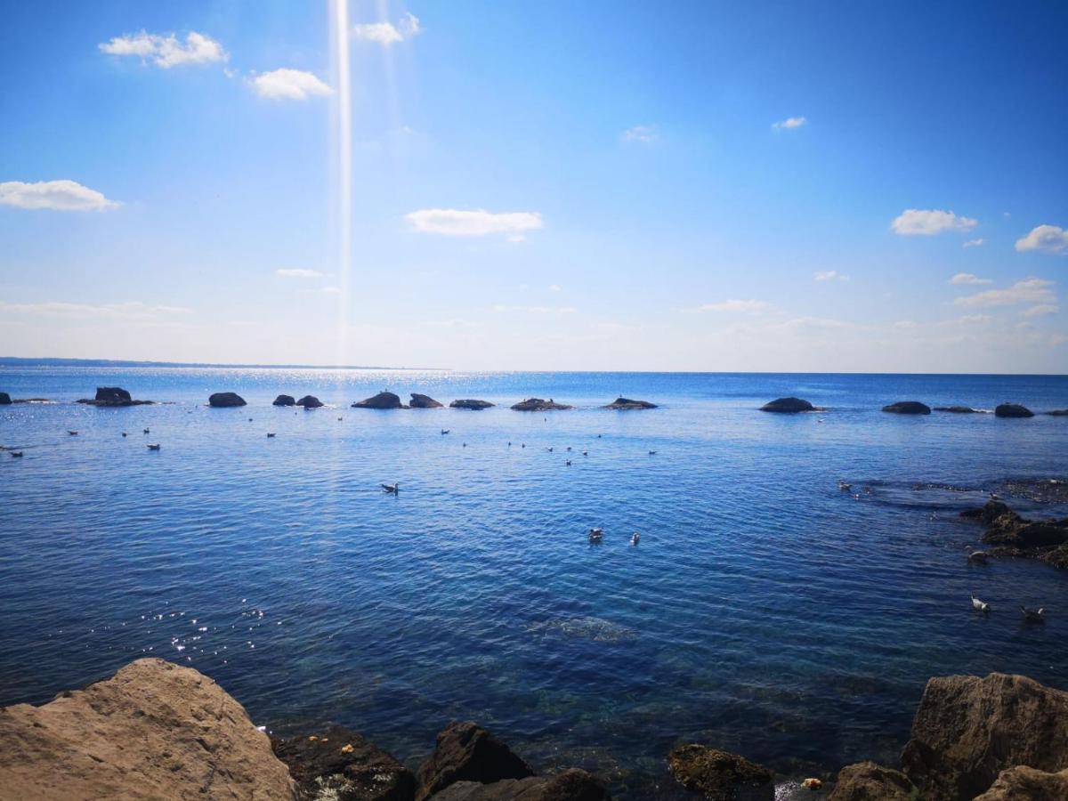B&B Del Corso Gallipoli Dış mekan fotoğraf